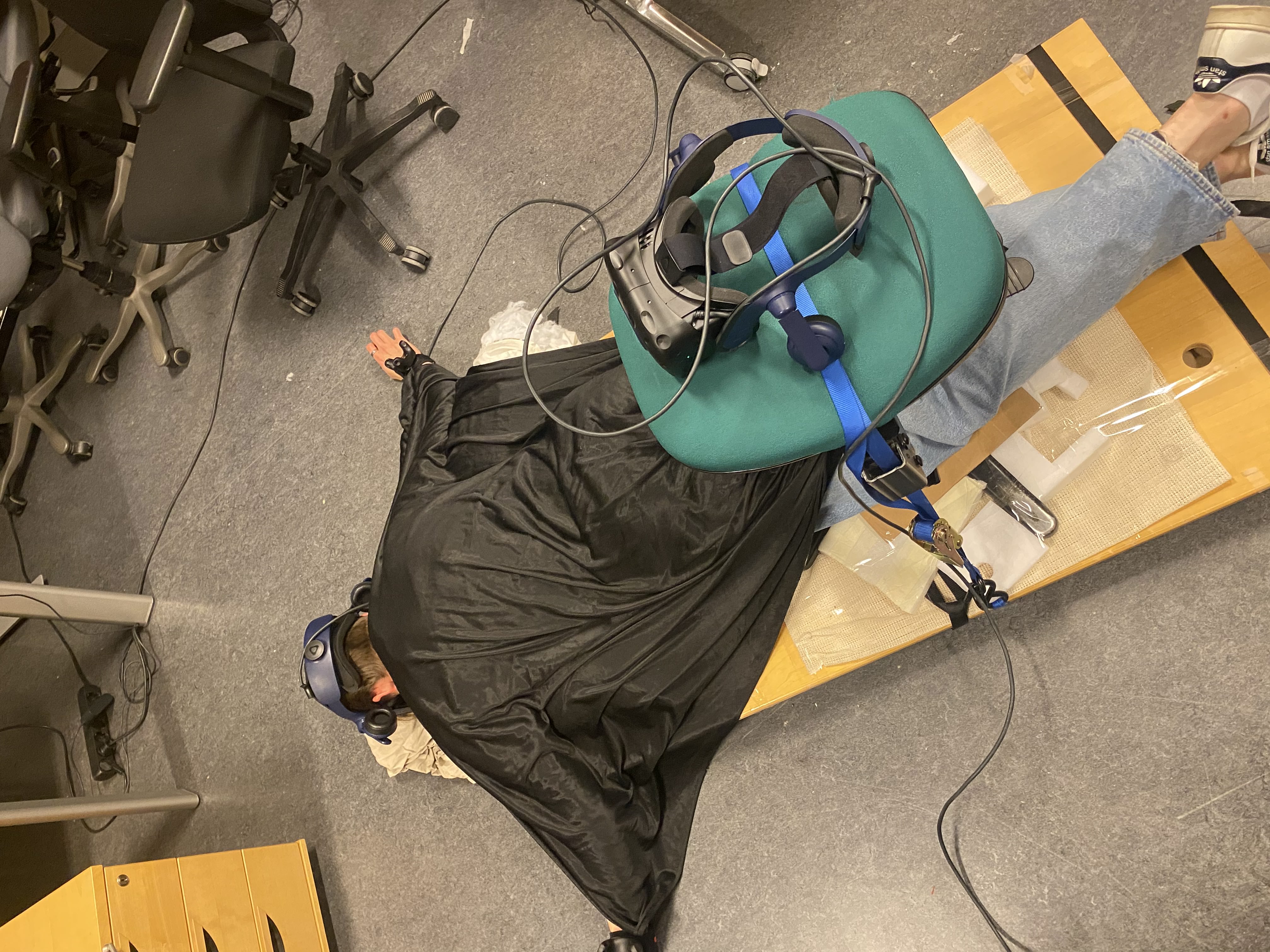 Players experiencing Dragon Trainer